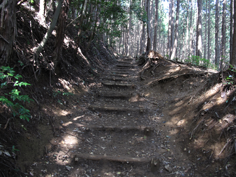 20150929hike (56)
